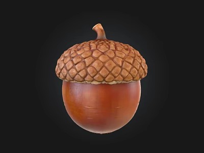 Natural Brown Acorn With Textured Cap And Rounded Shape On Dark Background 3d model