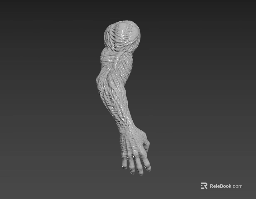 Fantasy Creature Arm 3D Model With Detailed Muscular Texture And Scaled Design 3d model 
