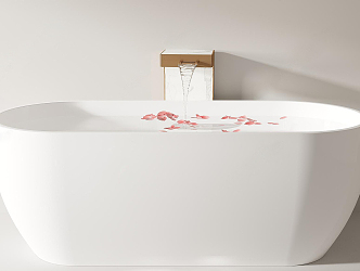 Modern Bathtub 3d model