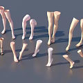 Different Poses And Styles Of Woman Legs Models Featuring Standing Bent And High Heel Designs