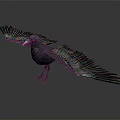 Flying Animal Crow with Spread Wings in Mid Flight Against Gray Background