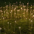 Dandelion Shaped Outdoor Lights With Slender Poles Glowing in Grass Field at Night