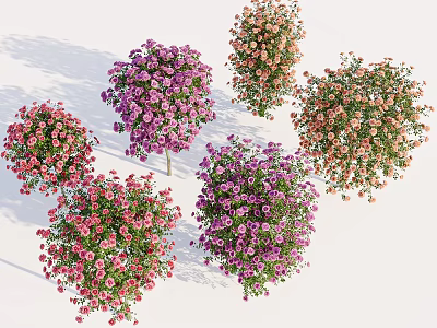 Vibrant Mixed Flowering Bushes With Round Clustered Blooms In Pink Purple And Orange 3d model