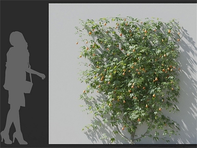 Modern Vine Wall 3d model