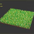 Lush Green Square Grass Turf Plant With Dense Blades And Brown Base