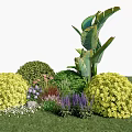 Colorful Garden Flowers and Plants Featuring Yellow Shrubs Green Spherical Plants and Purple White Blooms