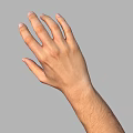 Human Hand and Arm with Palm Up and Fingers Naturally Spread on Gray Background