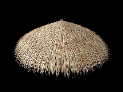 Round Roof Thatch model