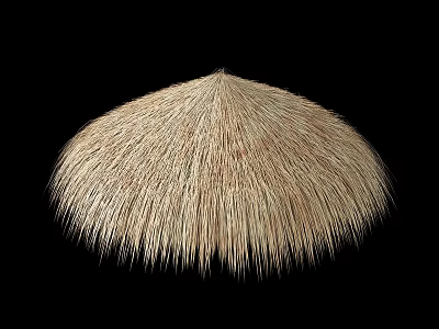 Natural Handwoven Fan-Shaped Thatch Roof as Rustic Architectural Element for Traditional Buildings 3d model
