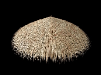 Round Roof Thatch 3d model