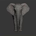 Detailed Elephant Sculpture With Large Ears Long Trunk And Textured Skin On Dark Reflective Surface