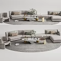 Modern Light Gray Sofa Coffee Table Set With Pillows Plant And Circular Rug 3d model