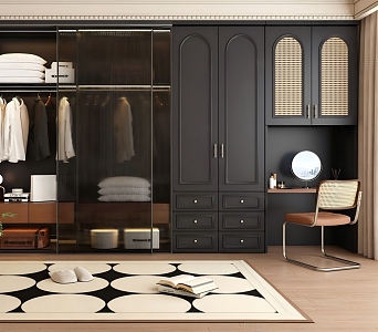 French walk-in open closet 3d model