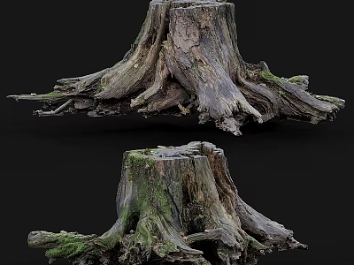 Natural Stone Wood Stumps With Green Moss And Textured Roots 3d model