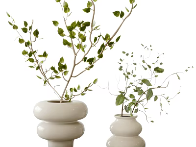 White Ceramic Vases With Green Leafy Branches For Home Interior Decor 3d model