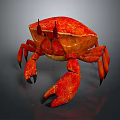 Realistic Red Crab 3D Model With Large Claws Detailed Legs And Shiny Shell 3d model