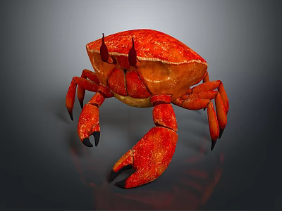 Realistic Red Crab 3D Model With Large Claws Detailed Legs And Shiny Shell 3d model
