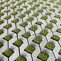 Gray Hexagonal Floor Tiles With Grass Growing Through Neatly Arranged Gaps 3d model