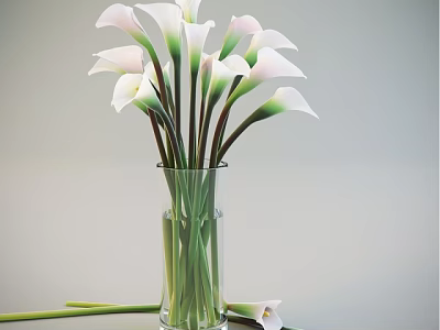 Transparent Glass Vase With White Calla Lilies And Green Stems Decoration 3d model