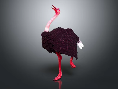 Pink Necked Ostrich With Black Feathers And White Tail Standing On Gray Background 3d model