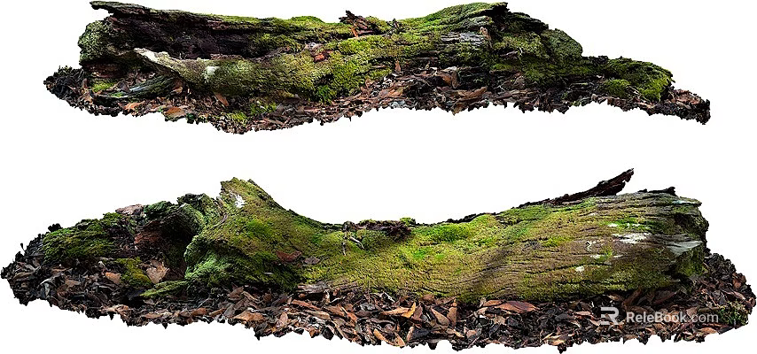 Green Moss Covered Logs With Fallen Leaves In Natural Forest Setting 3d model