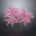Vibrant Pink Flowering Tree In Full Bloom With Lush Blooms And Petals