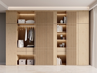 Wardrobe Decorative Cabinet 3d model