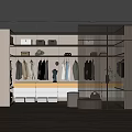 Modern Walk in Closet Interior With Hanging Clothes Hats Drawer Cabinets Glass Doors And Lighting