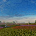 Blue Sky with Clouds Over Vibrant Flower Fields Windmills Distant Trees and People Walking