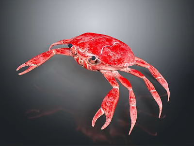 Vibrant Red Crab Aquatic Animal With Detailed Texture And Lifelike Appearance 3d model