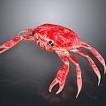 Vibrant Red Crab Aquatic Animal With Detailed Texture And Lifelike Appearance
