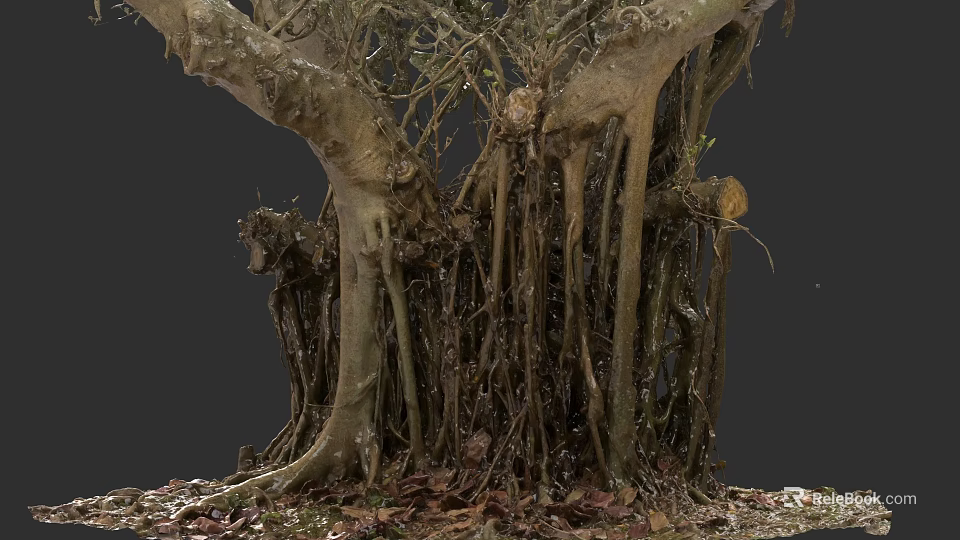 Detailed Plant Drawing of Thick Tree Trunks Intricate Roots and Scattered Fallen Leaves 3d model 