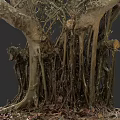 Detailed Plant Drawing of Thick Tree Trunks Intricate Roots and Scattered Fallen Leaves