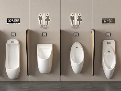 Modern Wall Mounted Urinals In Public Restroom With Gender And Accessible Signs 3d model