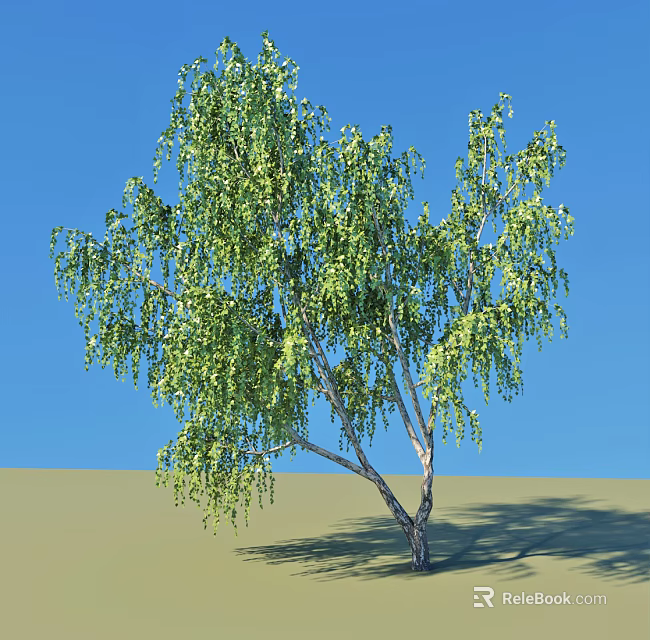 Tall Green Arbor With Lush Drooping Leaves And Slender Trunk Under Blue Sky 3d model 