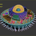 Eukaryotic cell cross section cell structure cell tissue anatomy organ human organ model 3d model