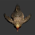Brown And Beige Chicken With Red Comb Standing On Black Background