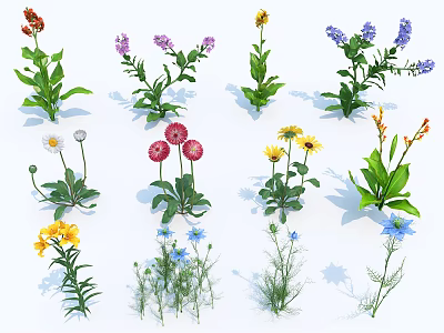Colorful Collection of Various Flowers and Green Herbs in Different Shapes 3d model
