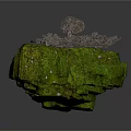 Natural Green Moss Covered Rock Surface With Cluster Of Gray Fungi