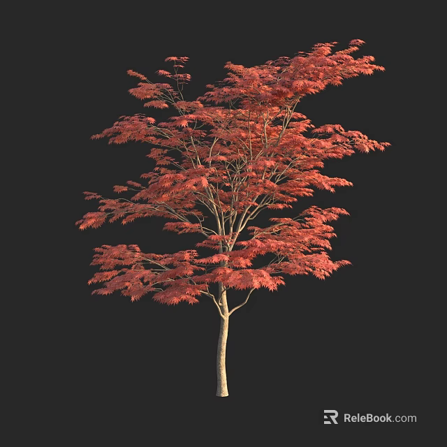 Vibrant Red Leaf Arbor with Lush Canopy and Straight Trunk in Natural Scene 3d model 