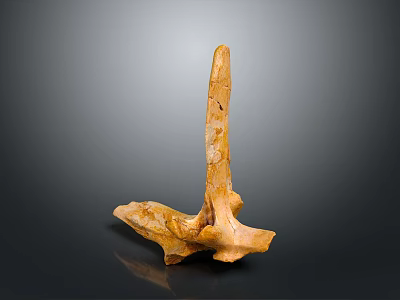 Ancient Brownish Yellow Fossil Bone Structure Isolated On Dark Background 3d model