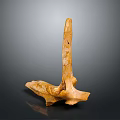 Ancient Brownish Yellow Fossil Bone Structure Isolated On Dark Background