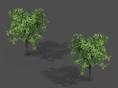 Two Lush Green Arbor Trees With Orange Fruits And Shadows 3d model