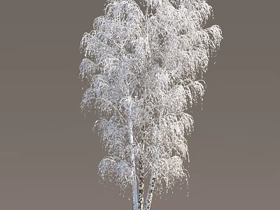 Snow Covered Tree With Long Hanging Branches And White Frosty Look 3d model