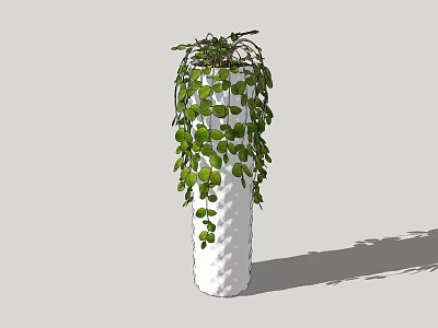 Hanging Potted Plant With Round Green Leaves In Textured White Vase 3d model