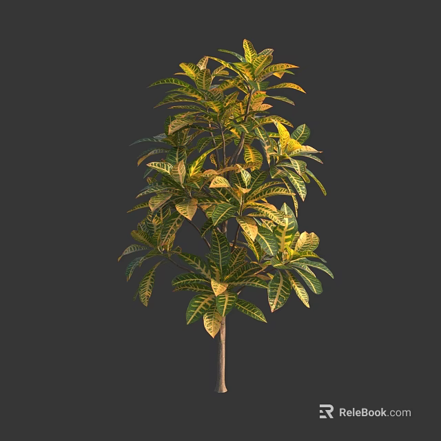 Green And Yellow Leafy Plant With Lush Foliage And Strong Trunk 3d model 
