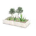 Potted Plants In Stone Rectangular Planter With Small Trees And Agave Like Plants