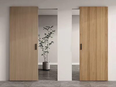 Modern Wooden Sliding Doors in Bright Room with Green Plant and Gray Floor 3d model