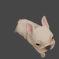 Cute Cartoon French Bulldog Puppy With Light Beige Fur And Tongue Out
