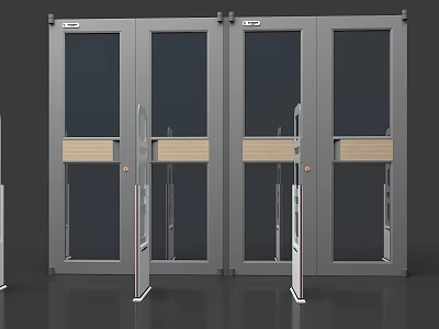 Commercial Double Glass Entrance Doors With Metal Frame And Wooden Panels 3d model